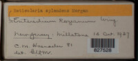 Image Associated With the Occurence